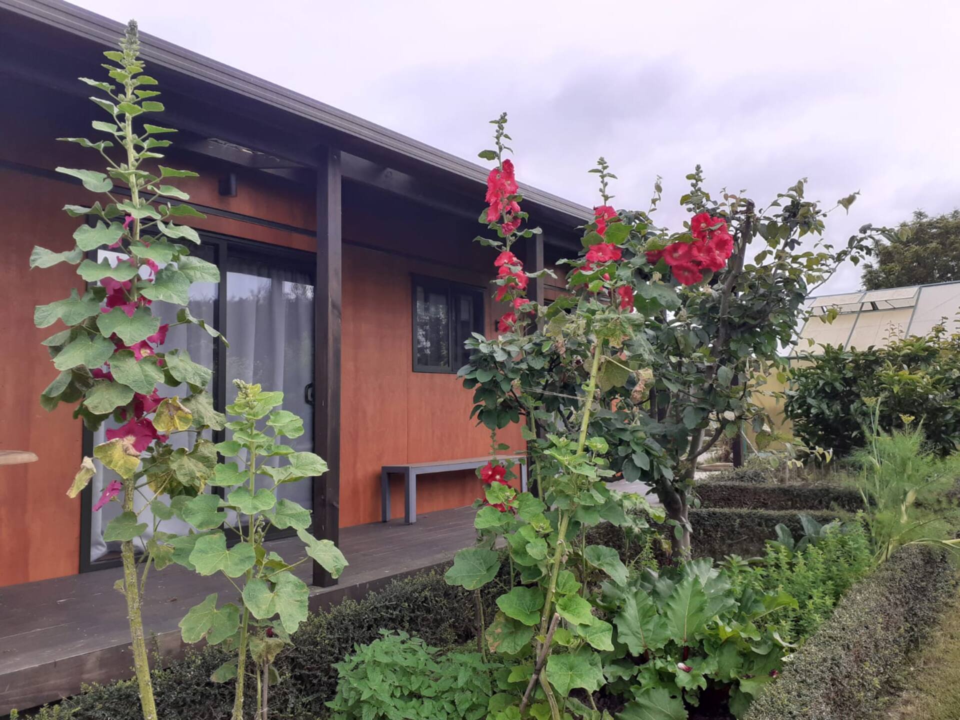 Tranquil farm & garden cottage near Kerikeri.