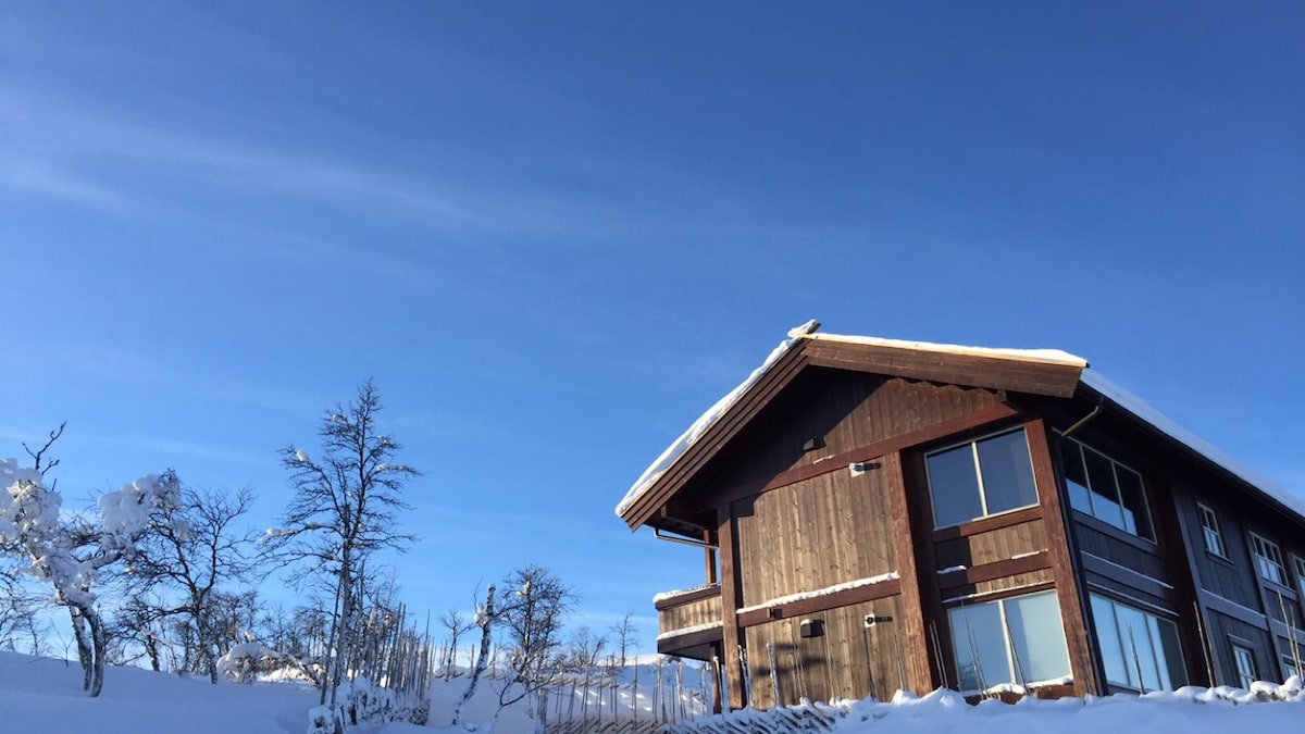 A modern wooden chalet is set against a clear blue sky, surrounded by a snowy landscape. Large windows reflect the natural light, enhancing the inviting exterior. Nearby trees, blanketed in snow, complement the serene winter scene.