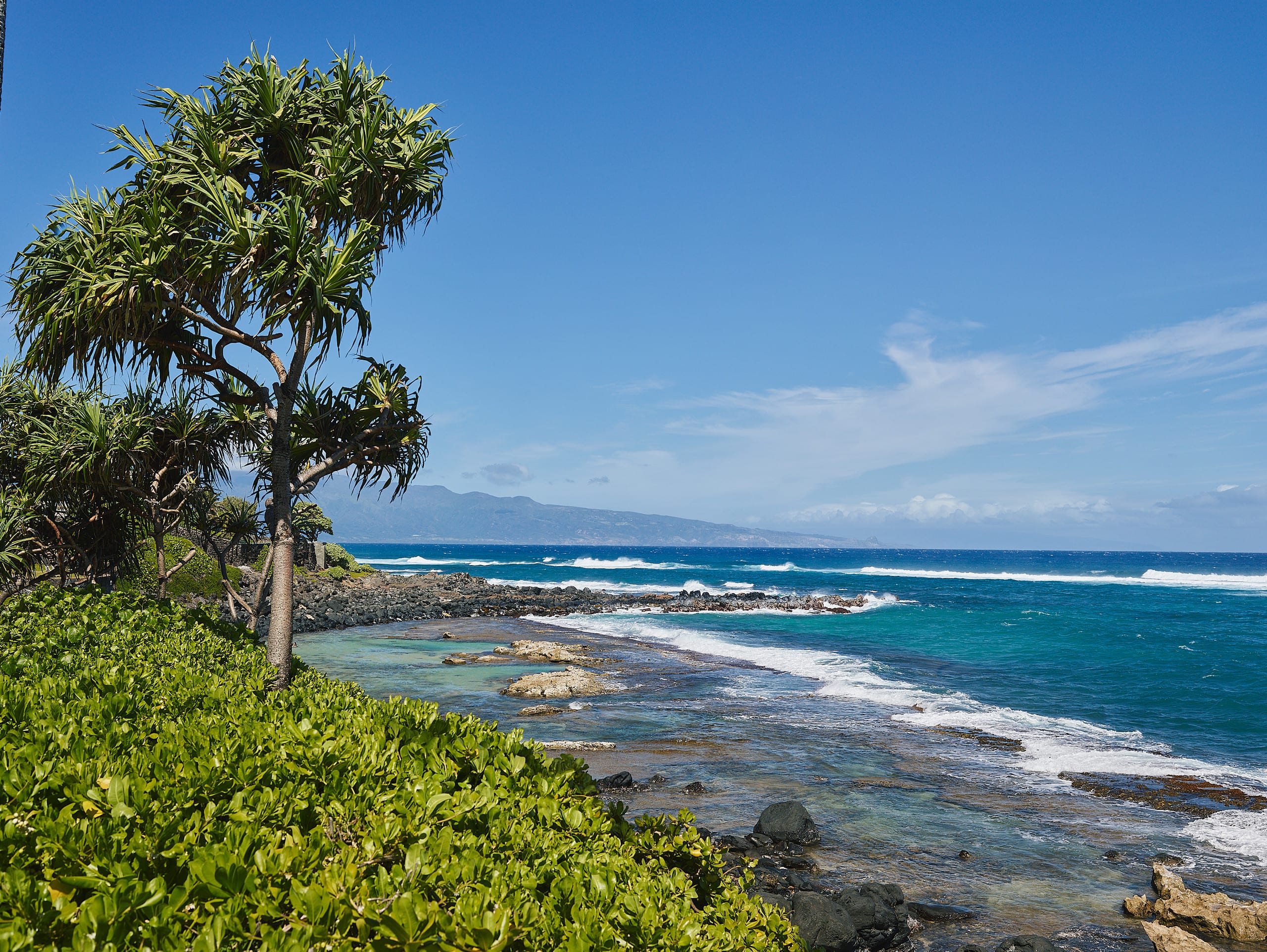 Condo in Paia · ★4.9 · 1 bedroom · 1 bed · 1 bath - Image 6