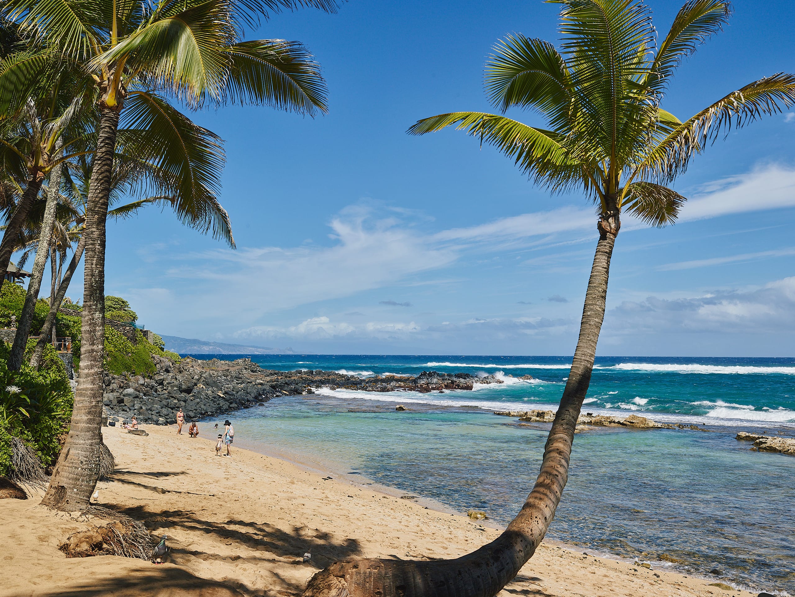 Condo in Paia · ★4.9 · 1 bedroom · 1 bed · 1 bath - Image 1