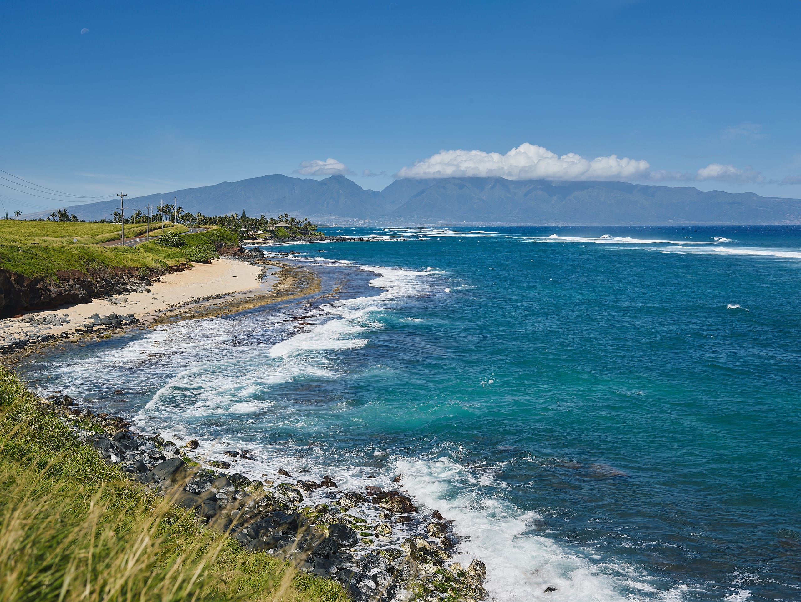 Condo in Paia · ★4.9 · 1 bedroom · 1 bed · 1 bath - Image 4