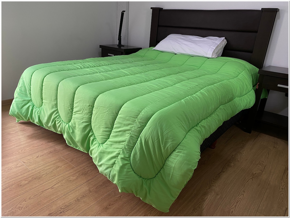 A spacious bed is covered with a bright green comforter. Two dark nightstands are positioned on either side of the bed, providing a minimalist touch. Natural light filters in from a nearby window, illuminating the warm wooden flooring.