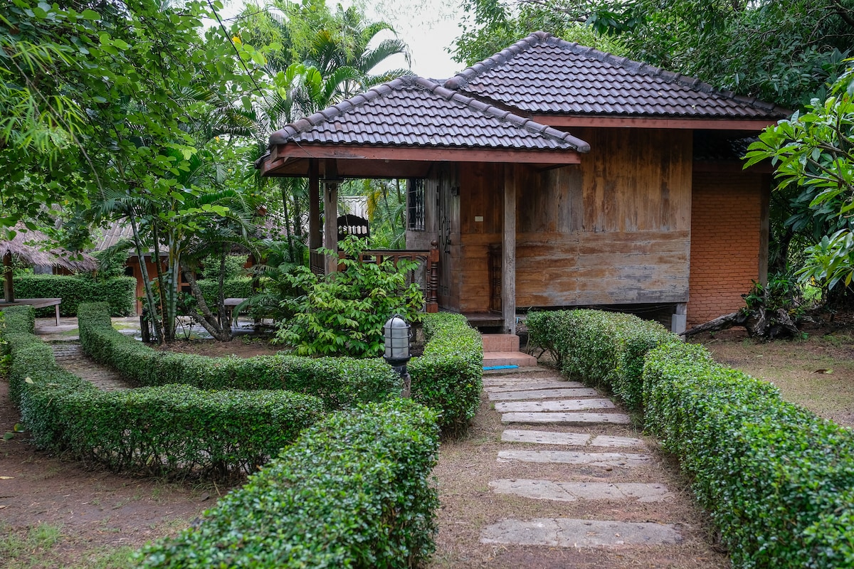 A charming bungalow is situated amidst lush greenery, featuring a traditional roof and wooden exterior. A stone pathway leads to the entrance, bordered by neatly trimmed hedges. Surrounding foliage adds to the natural ambiance of the serene environment.