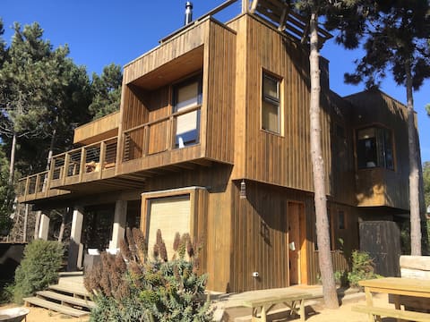 Punta de Lobos Casa Gaviota Surf house
