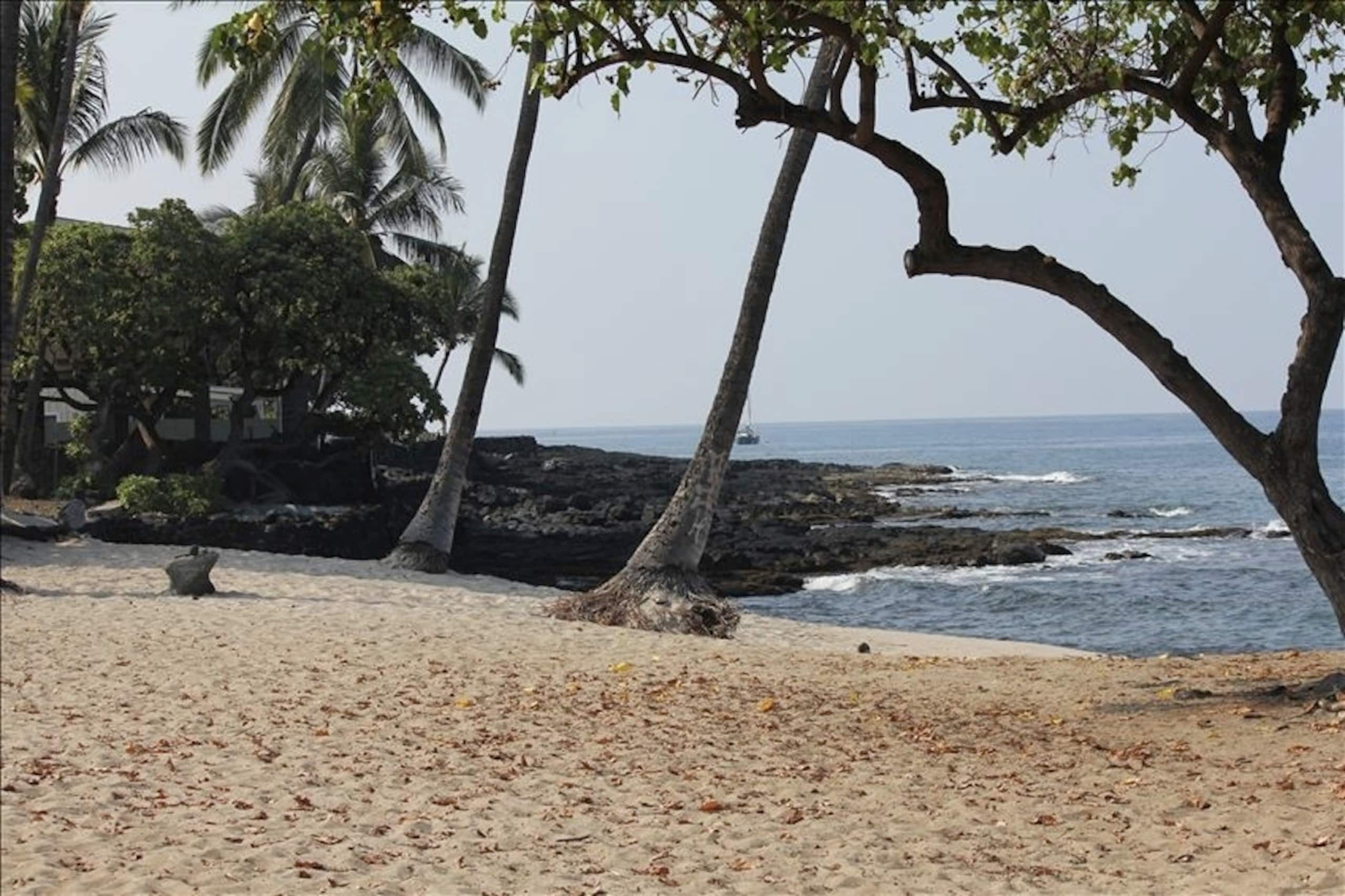 Condo in Kailua-Kona · ★5.0 · 1 bedroom · 1 bed · 2 baths - Image 13