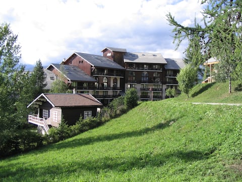 Top performing Airbnb: Apartment in Vallandry, Les Arcs in Landry