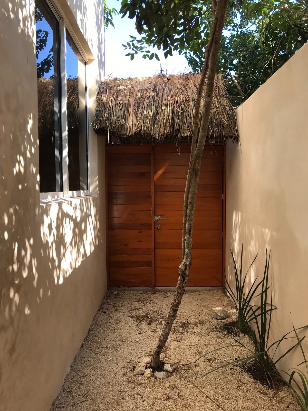 A serene entrance to the apartment is framed by a natural setting. A wooden door, partially shaded by a thatched roof, is surrounded by a sandy path, plants, and a slender tree. Sunlight filters through, creating subtle patterns on the wall.