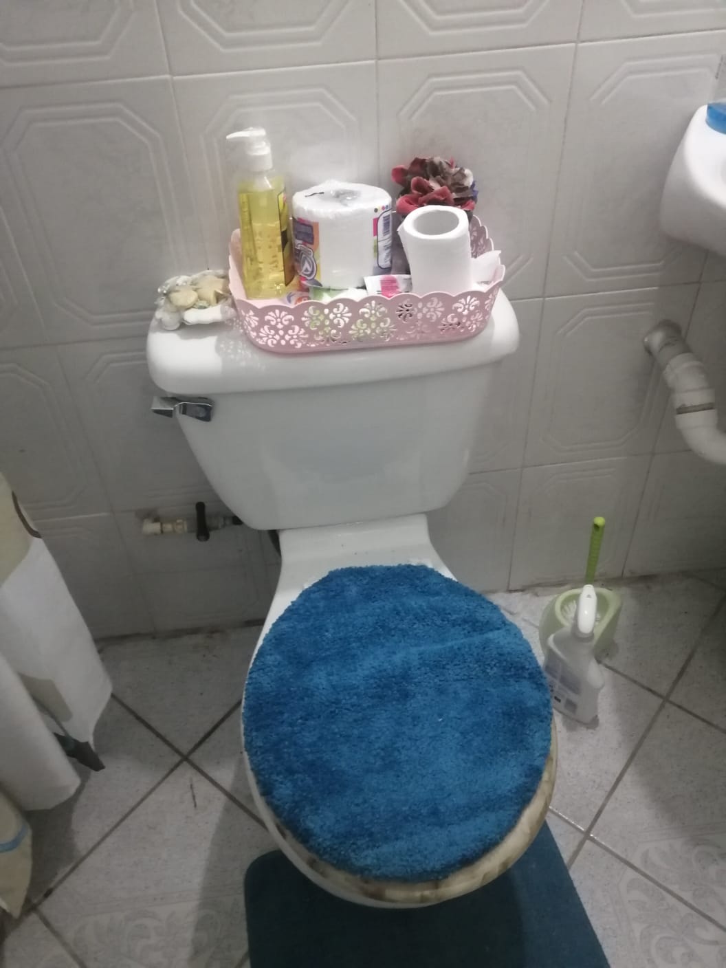 The bathroom features a toilet topped with a decorative tray holding toiletries, including bottles and toilet paper. A blue toilet seat cover complements the tiles beneath. A small brush is positioned nearby, indicating accessibility for maintenance.