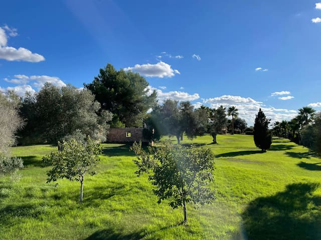 Villa Cas Mariné mit beheizb. Pool und Außenküche gallery image 4