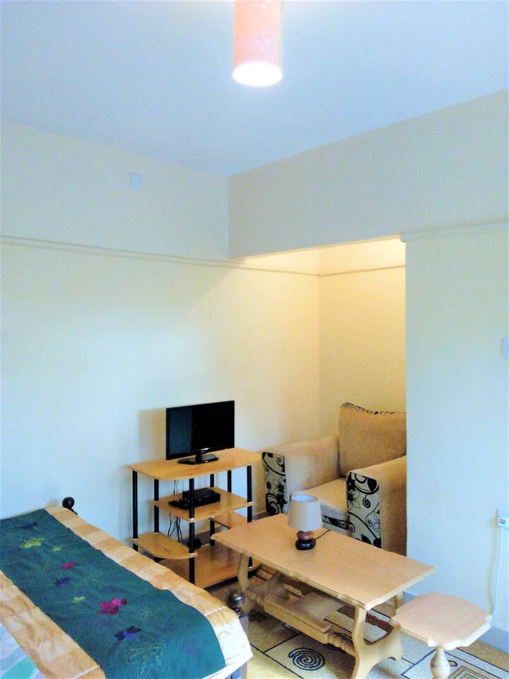 Simple and affordable studio apartment in Ruaka Apartments for Rent