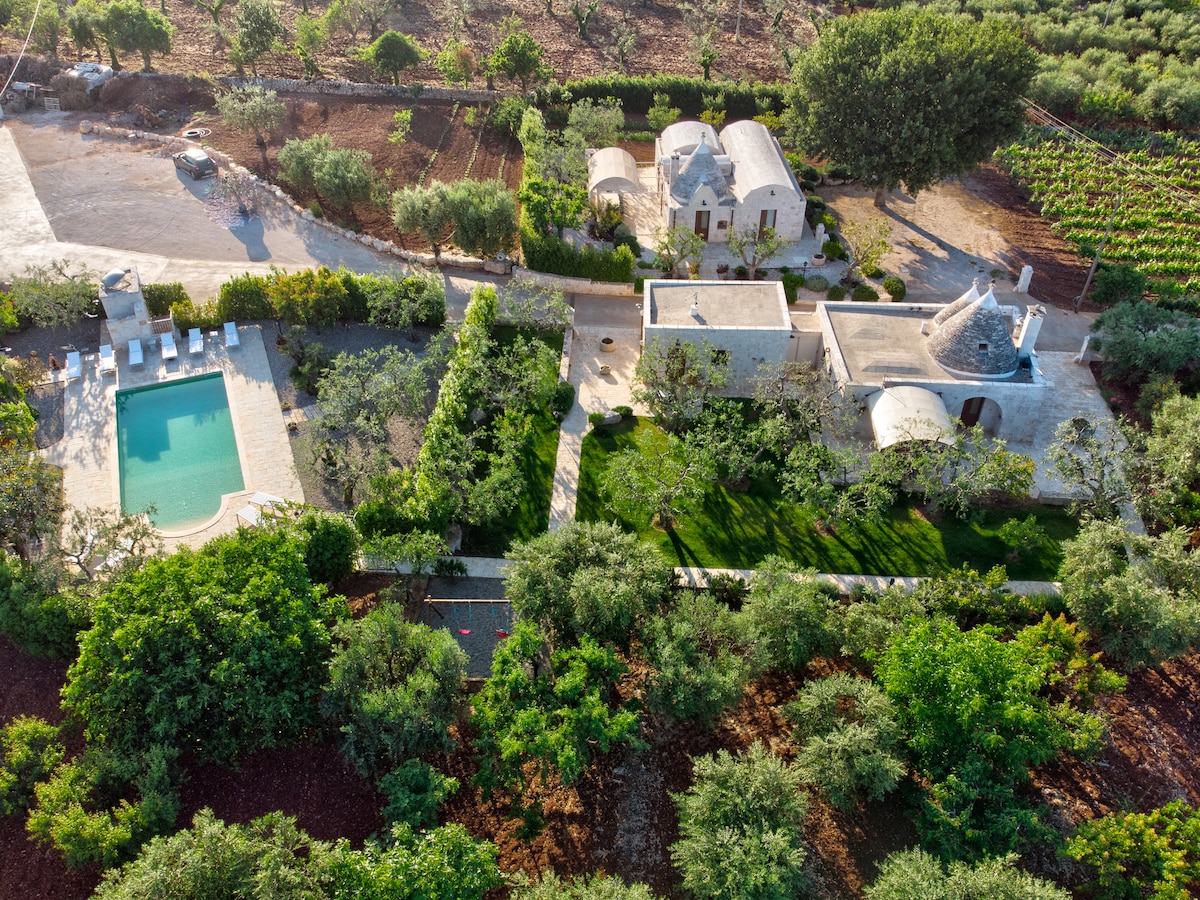 An aerial view captures the property surrounded by lush greenery and olive groves. A swimming pool is visible, bordered by lounge chairs. The distinct trullo structures are nestled in a vineyard, highlighting the natural landscape and tranquil outdoor setting.