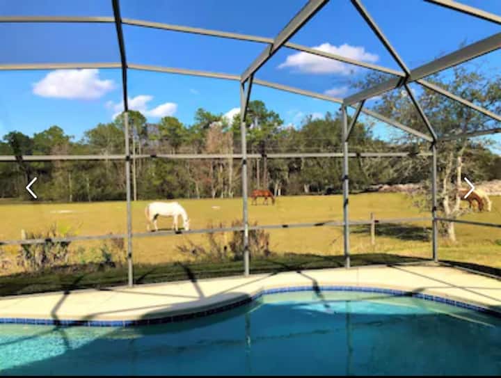 Loughman Ferienwohnungen & Unterkünfte Florida, Vereinigte Staaten