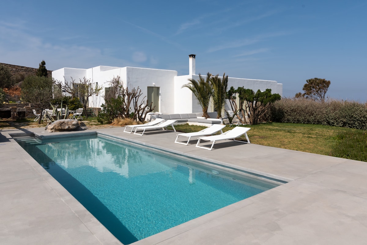 A serene outdoor space features a rectangular swimming pool bordered by a smooth concrete deck. Sun loungers are arranged on one side, while lush greenery and sculptural plants are present in the background, complementing the white villa structure under a clear blue sky.