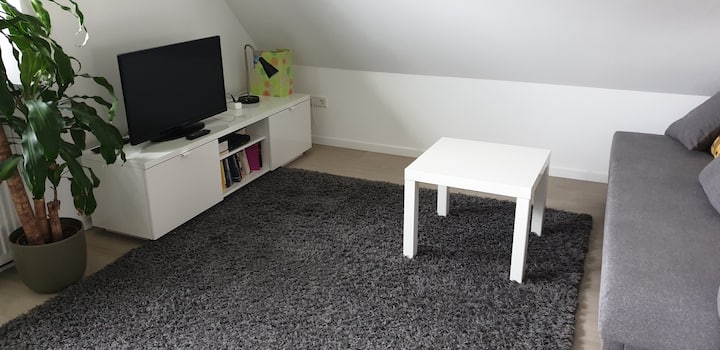 Obývacia izba je tiež druhou spálňou s rozkladacou pohovkou pre 2 osoby.