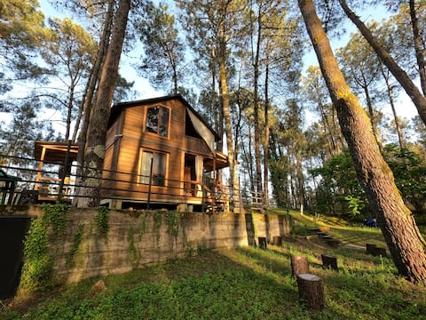 Kaprovani Retreat, Wooden Sea Side Cottage