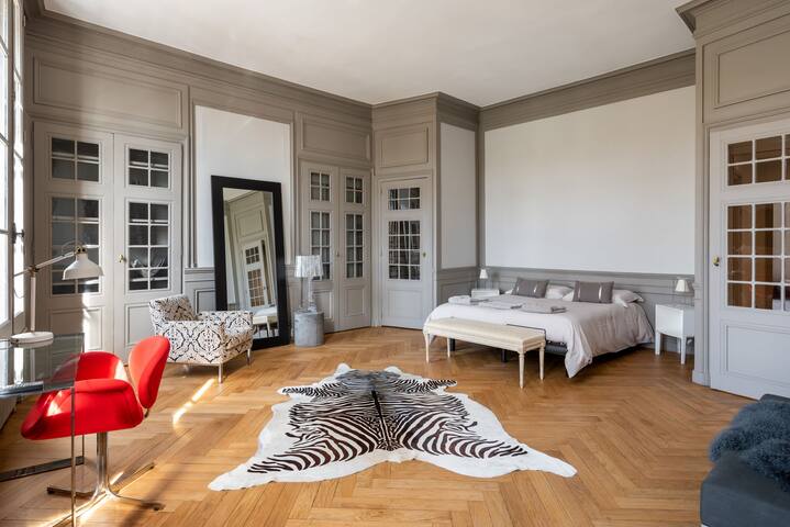 Appartement exceptionnel sur les berges du Rhône ! gallery image 5