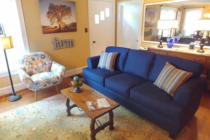 sleeper sofa