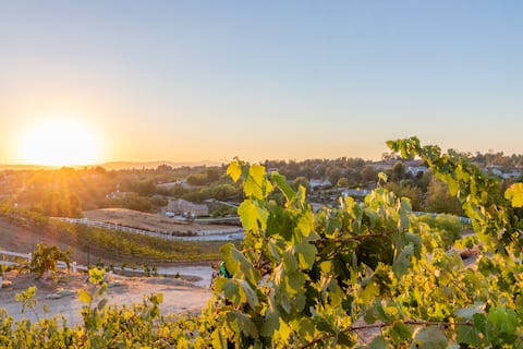 Breathtaking Tara Vineyards Estate