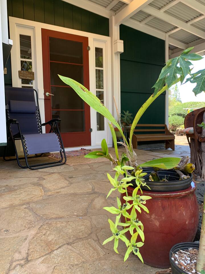 Top 10 Airbnb Vacation Rentals In Waimea, Hawaii Updated 2024 Trip101