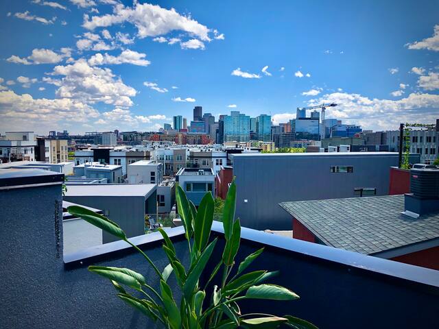 Rooftop Retreat-Modern Townhome in LoHi gallery image 3