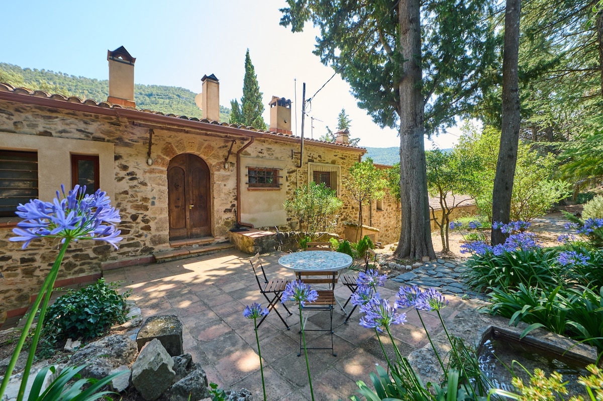 A rustic stone building is presented with a wooden door at its center, surrounded by greenery and flowering plants. A small stone patio features a round table with two chairs, providing a serene outdoor space. Tall trees frame the scene, adding to the tranquil atmosphere.