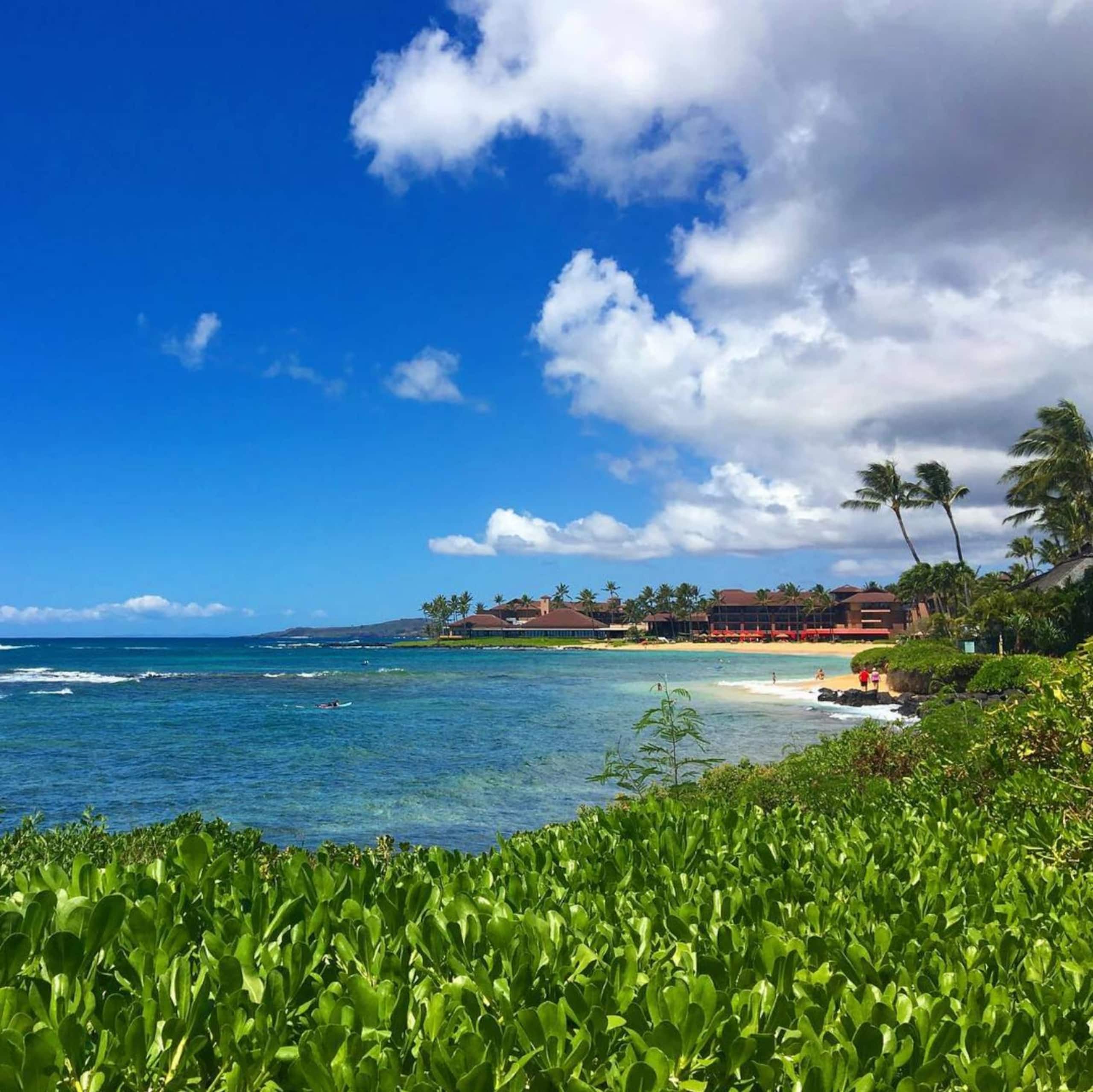 Beachfront Waiohai Club Resort+Premium Amenities - Photo 15