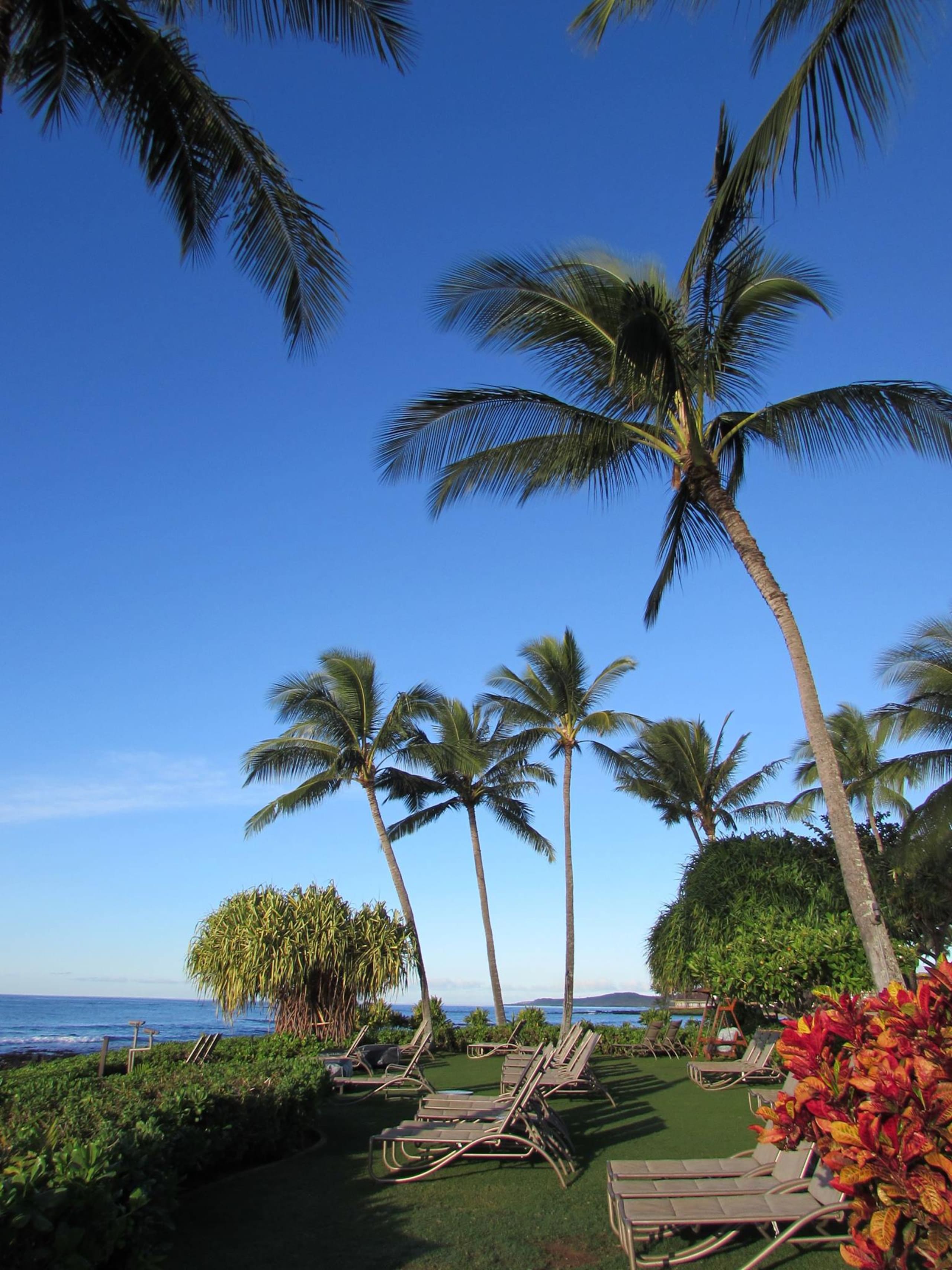 Beachfront Waiohai Club Resort+Premium Amenities - Photo 25