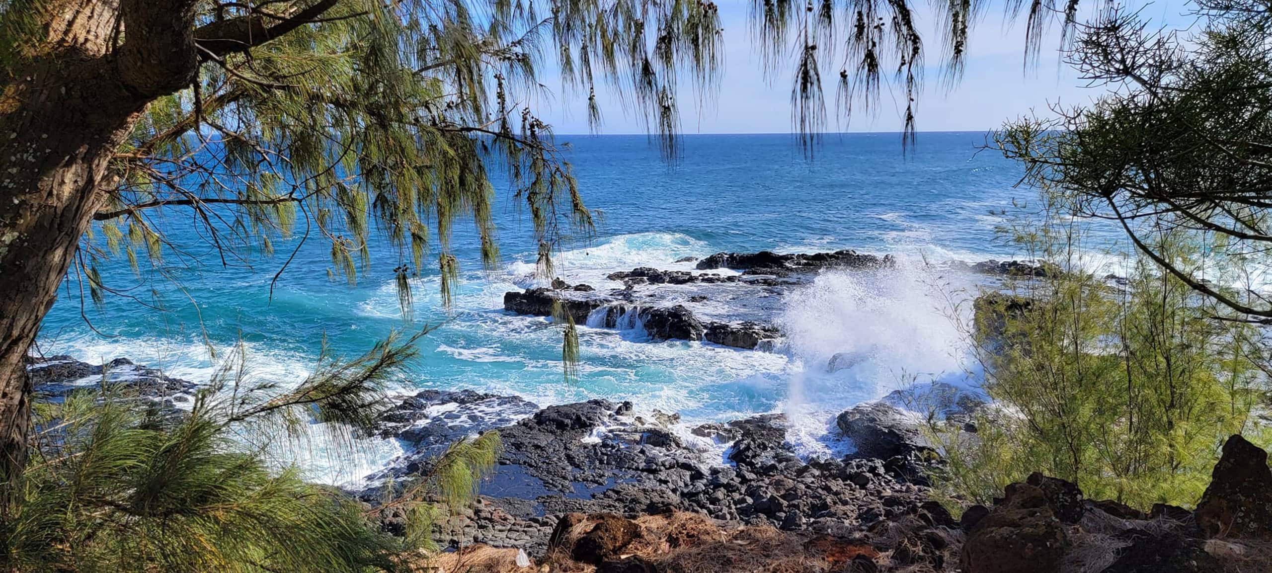 Beachfront Waiohai Club Resort+Premium Amenities - Photo 38