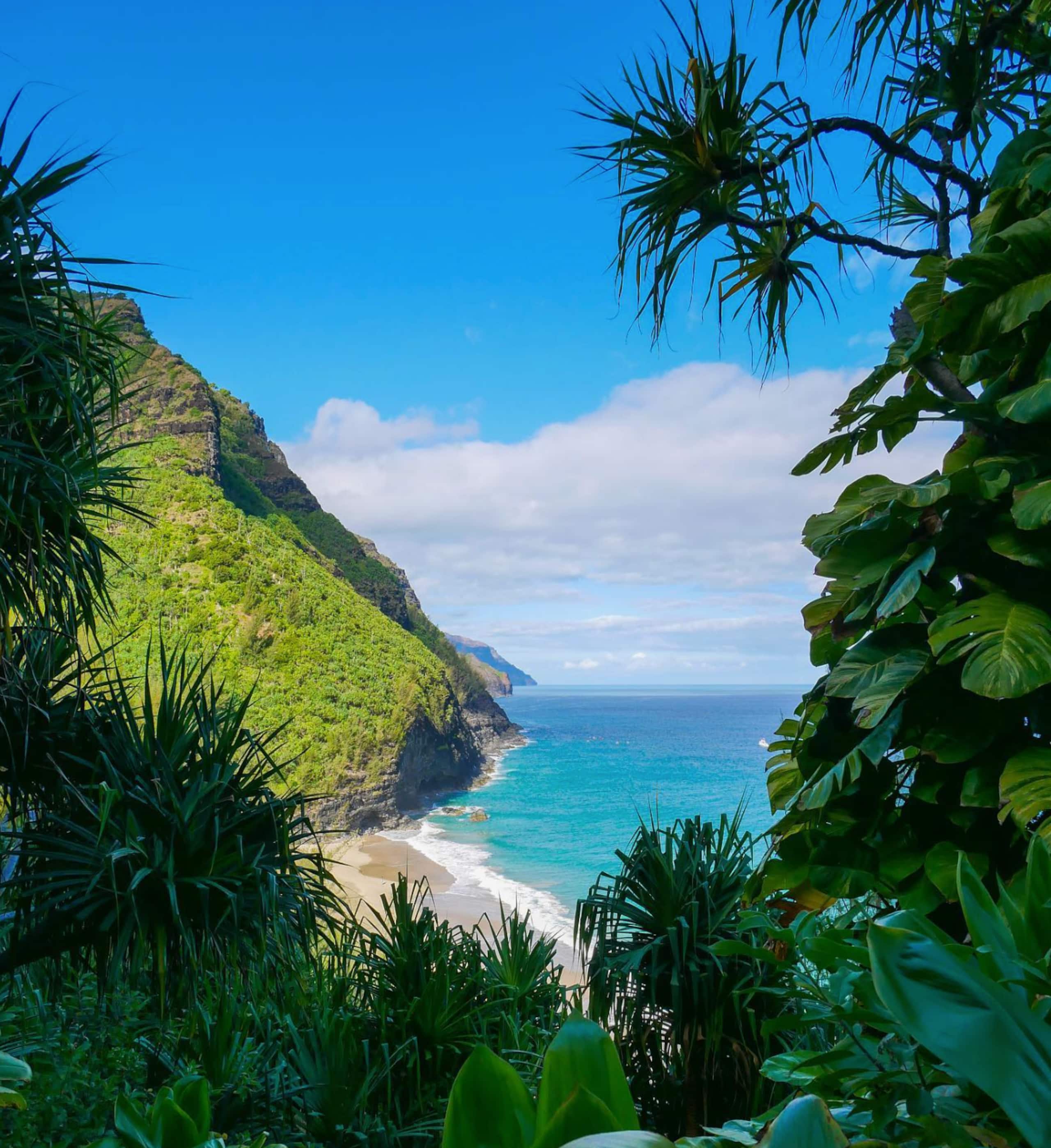 Beachfront Waiohai Club Resort+Premium Amenities - Photo 50
