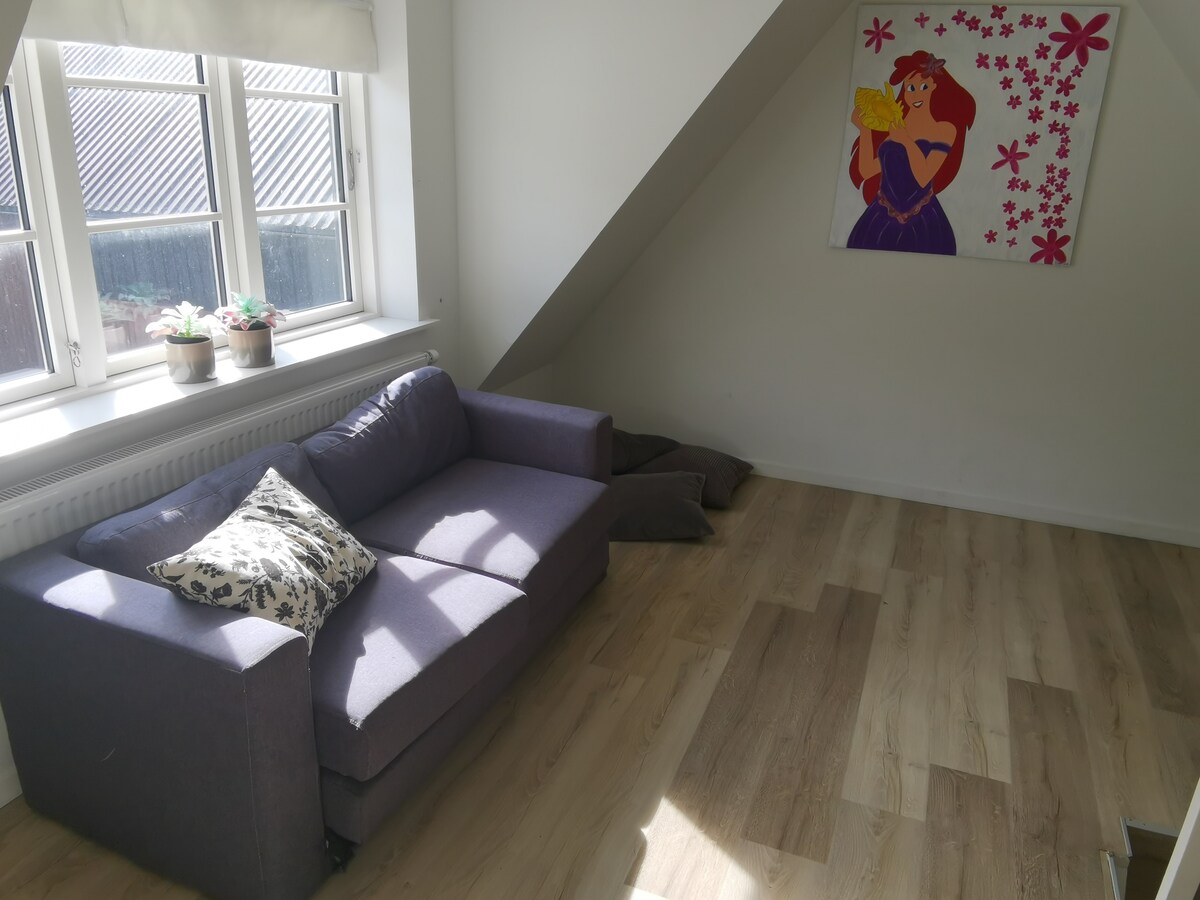 楼上休息和睡眠区，配有睡沙发