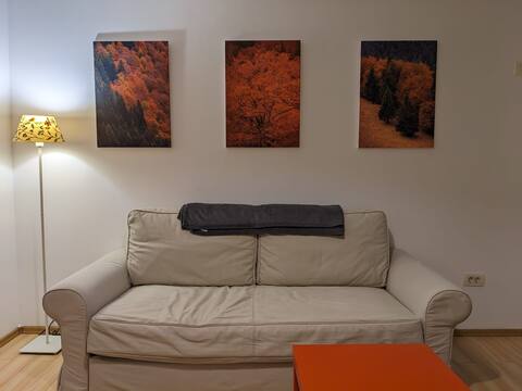Modern Spatios Apartment