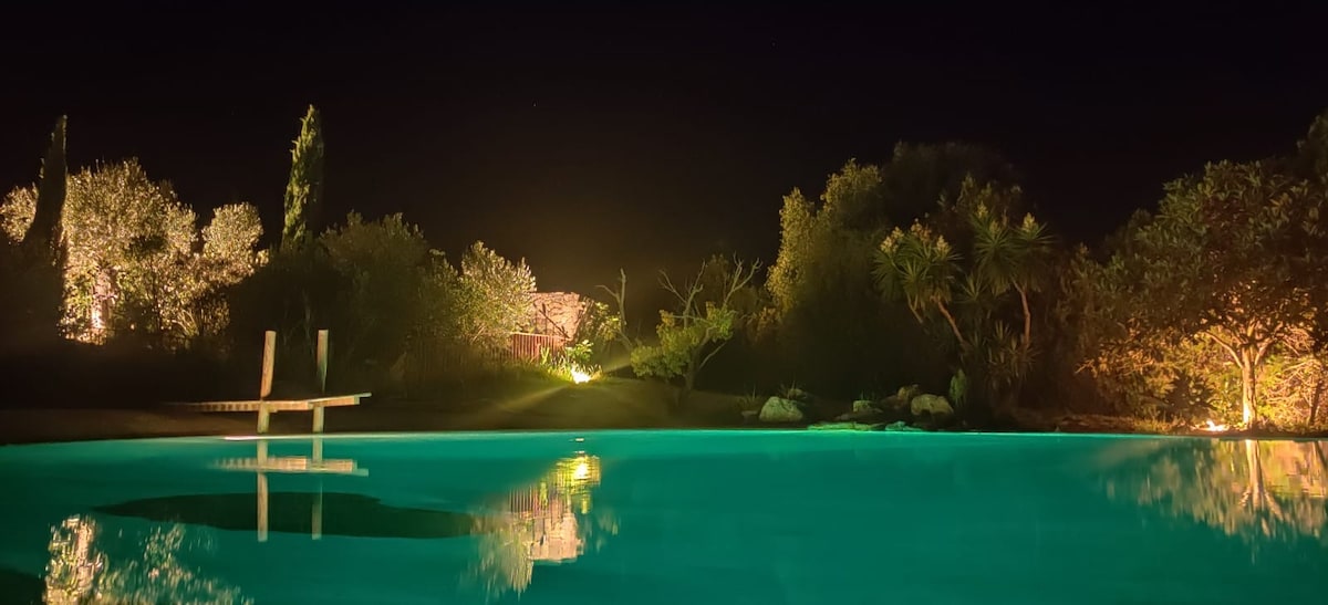 A serene pool scene is illuminated under the night sky, with soft green lights reflecting off the water's surface. Surrounding lush gardens and trees are gently lit, creating a calming atmosphere in the peaceful setting.