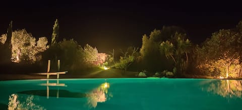 Airbnb performant: Quality apartment - No nightly stay à Belgodère