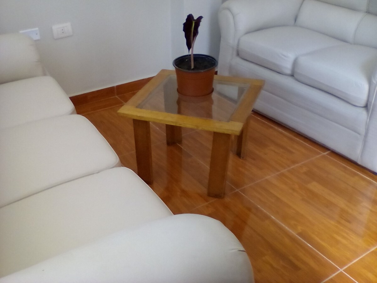 A light-colored seating area features two sofas arranged around a wooden coffee table. A small potted plant sits atop the table, enhancing the natural element of the space. The floor showcases polished wooden tiles, contributing to a clean and inviting environment.