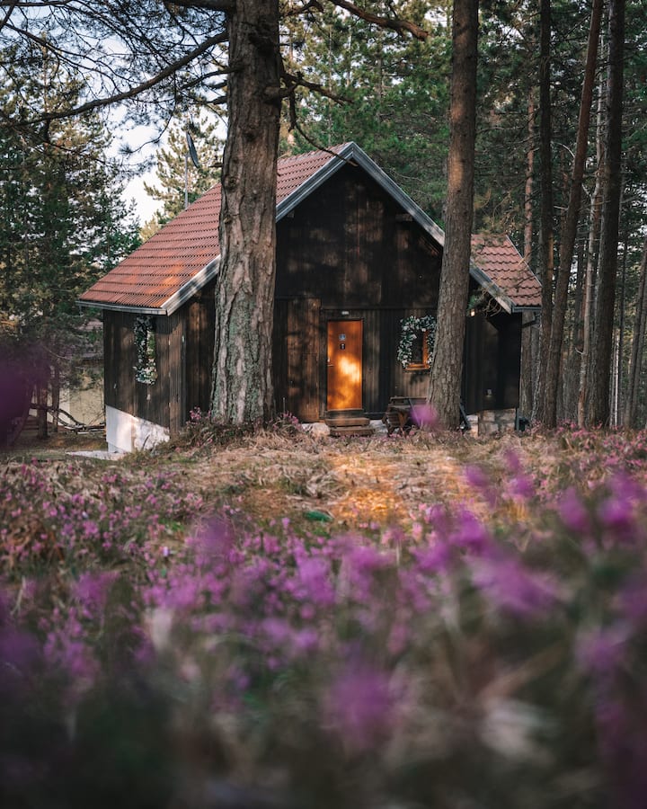 Apatment Home in National park Tara