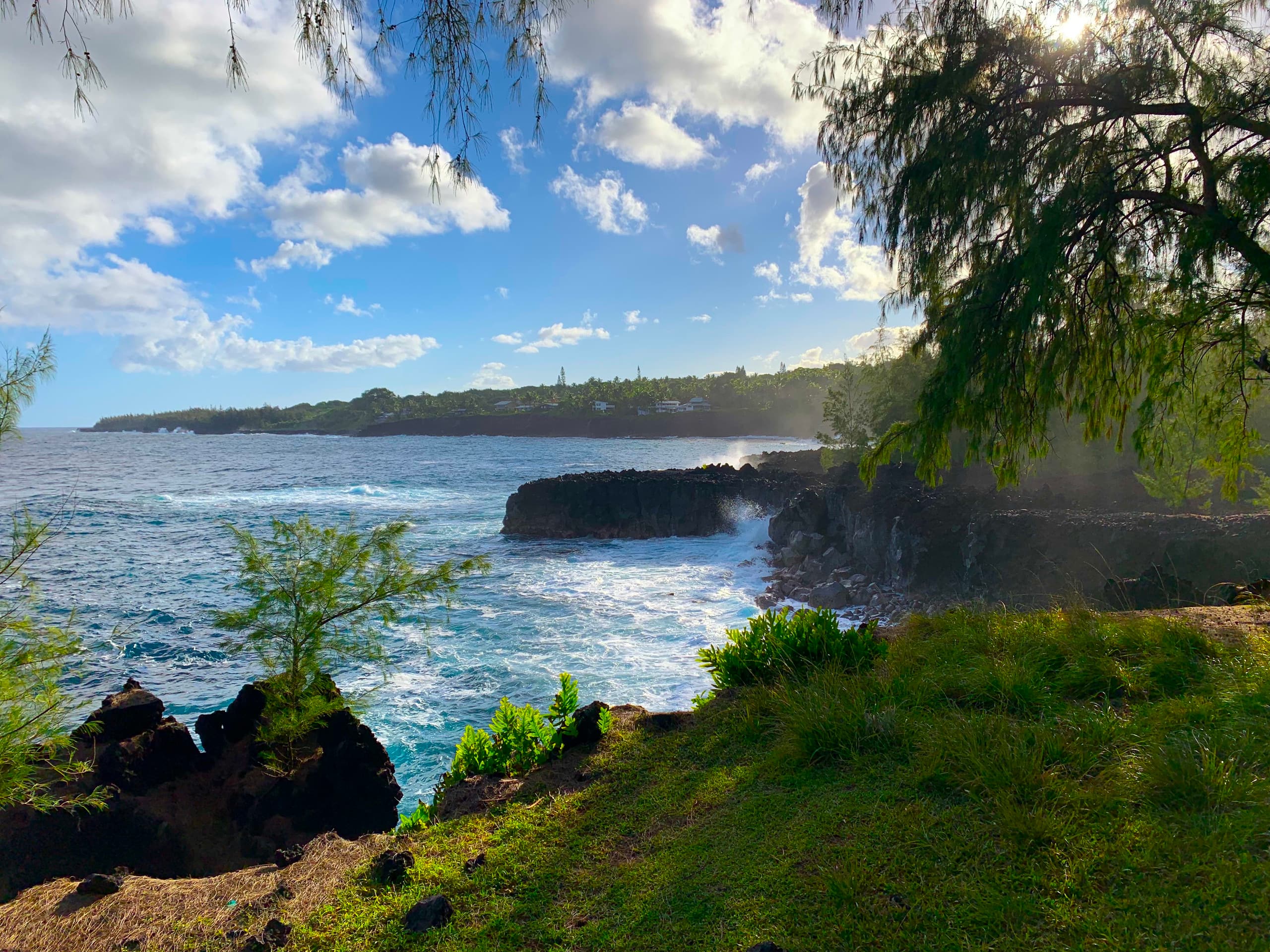 Home in Pahoa · ★4.88 · 1 bedroom · 1 bed · 1 bath - Image 32