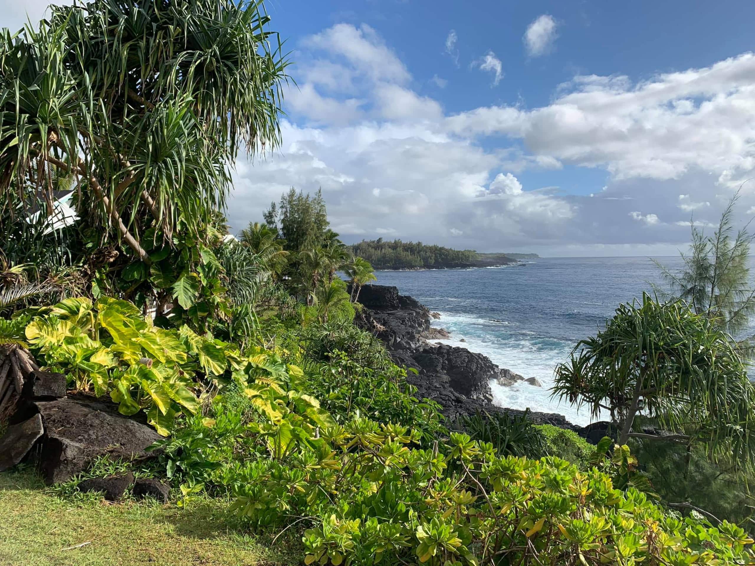 Home in Pahoa · ★4.88 · 1 bedroom · 1 bed · 1 bath - Image 31