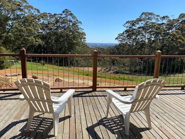 Mountain top forest, bike track, stunning vista