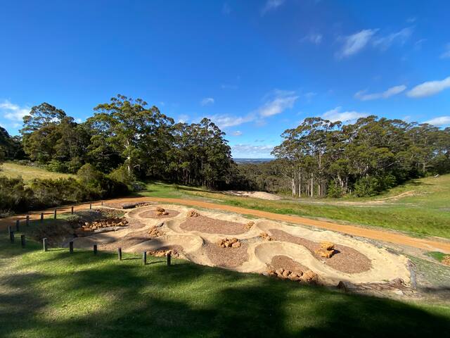 Mountain top forest, bike track, stunning vista gallery image 2