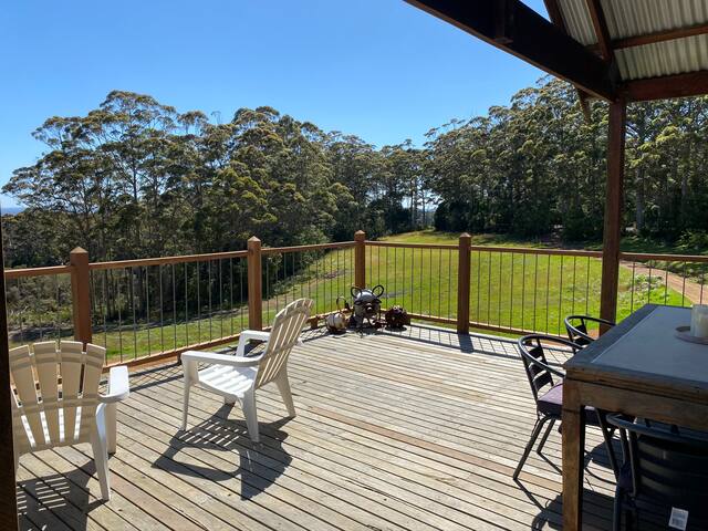 Mountain top forest, bike track, stunning vista gallery image 4