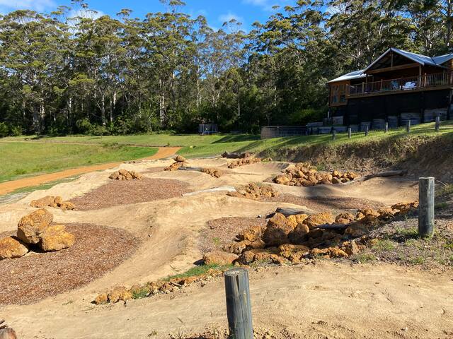 Mountain top forest, bike track, stunning vista gallery image 3