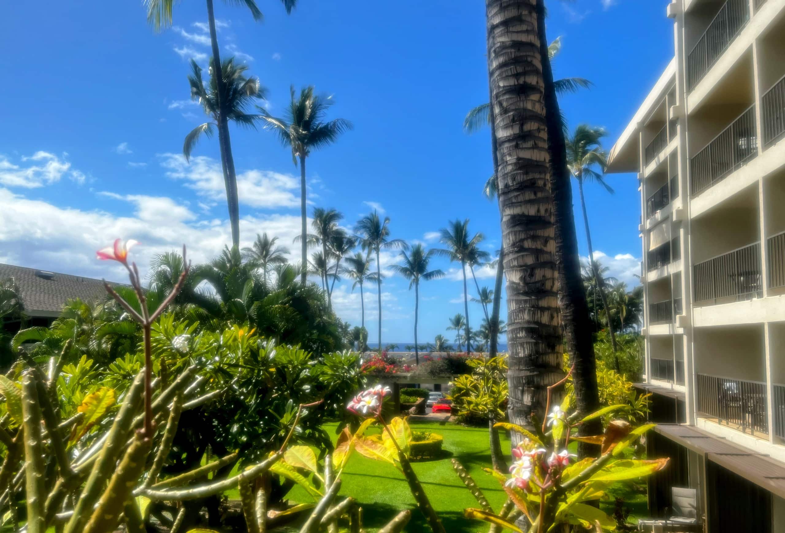 Condo in Kihei · ★4.91 · 1 bedroom · 1 bed · 1 private bath - Image 21