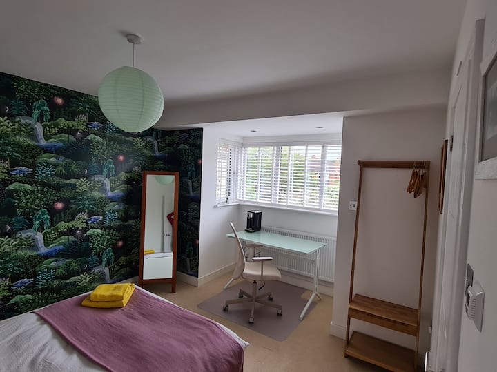 Exeter Holiday Rentals & Homes - England, United Kingdom | Airbnb