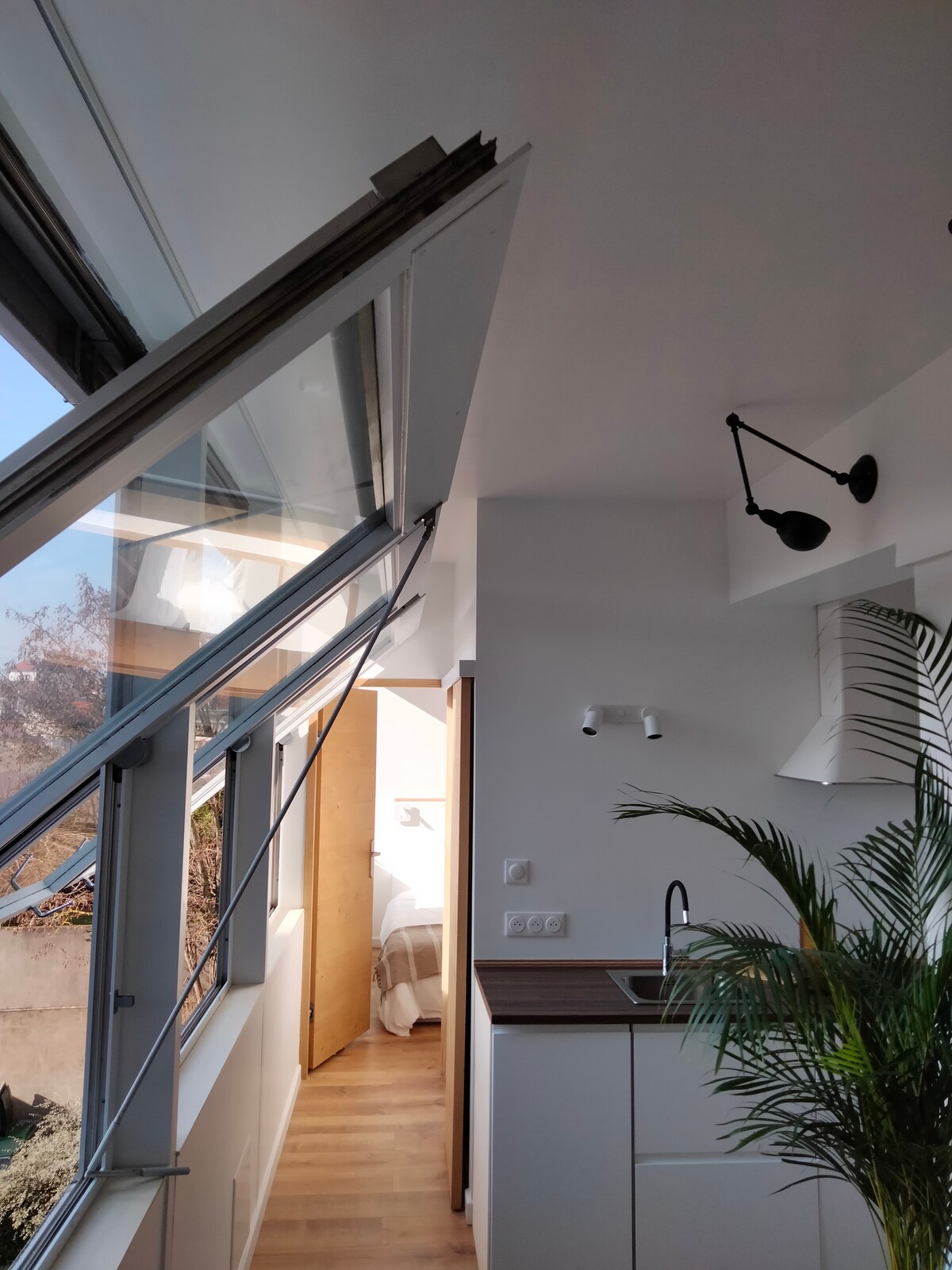 A bright kitchen area is highlighted by large, open windows that invite natural light. A small indoor plant adds a touch of greenery, while sleek cabinetry and a contemporary sink provide essential amenities. A doorway in the background leads to a separate room.