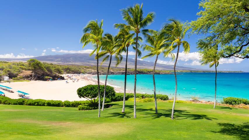 PiH:Aloha Spirit-Private Pool/Spa PLUS Hilton Pass gallery image 4