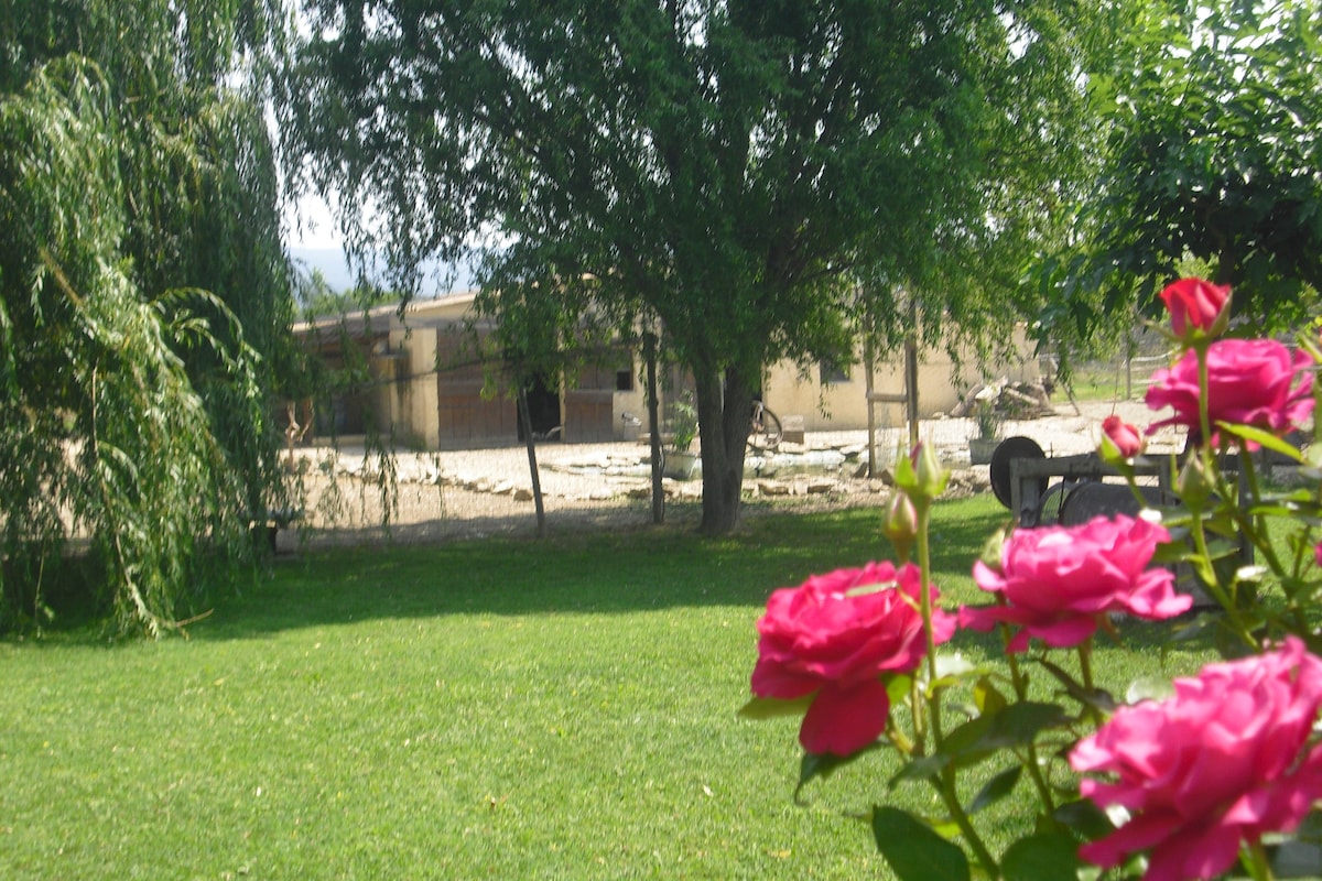 A scenic view of a lush green garden is framed by blooming pink roses. In the background, a rustic farmhouse is partially visible, surrounded by trees and open land.