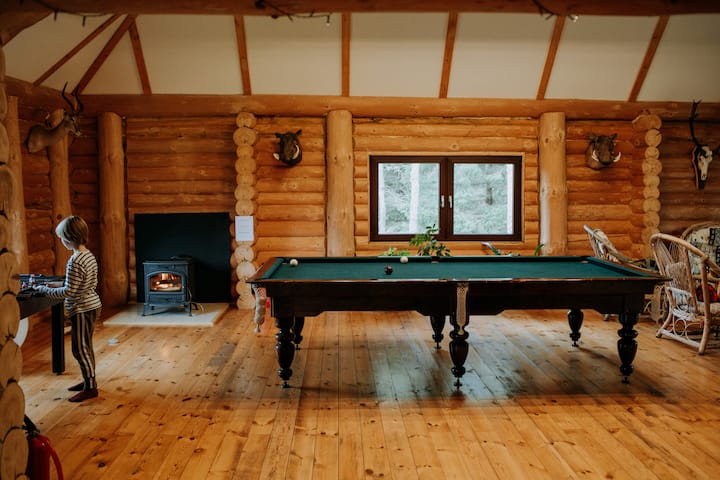 带台球和壁炉的客厅
