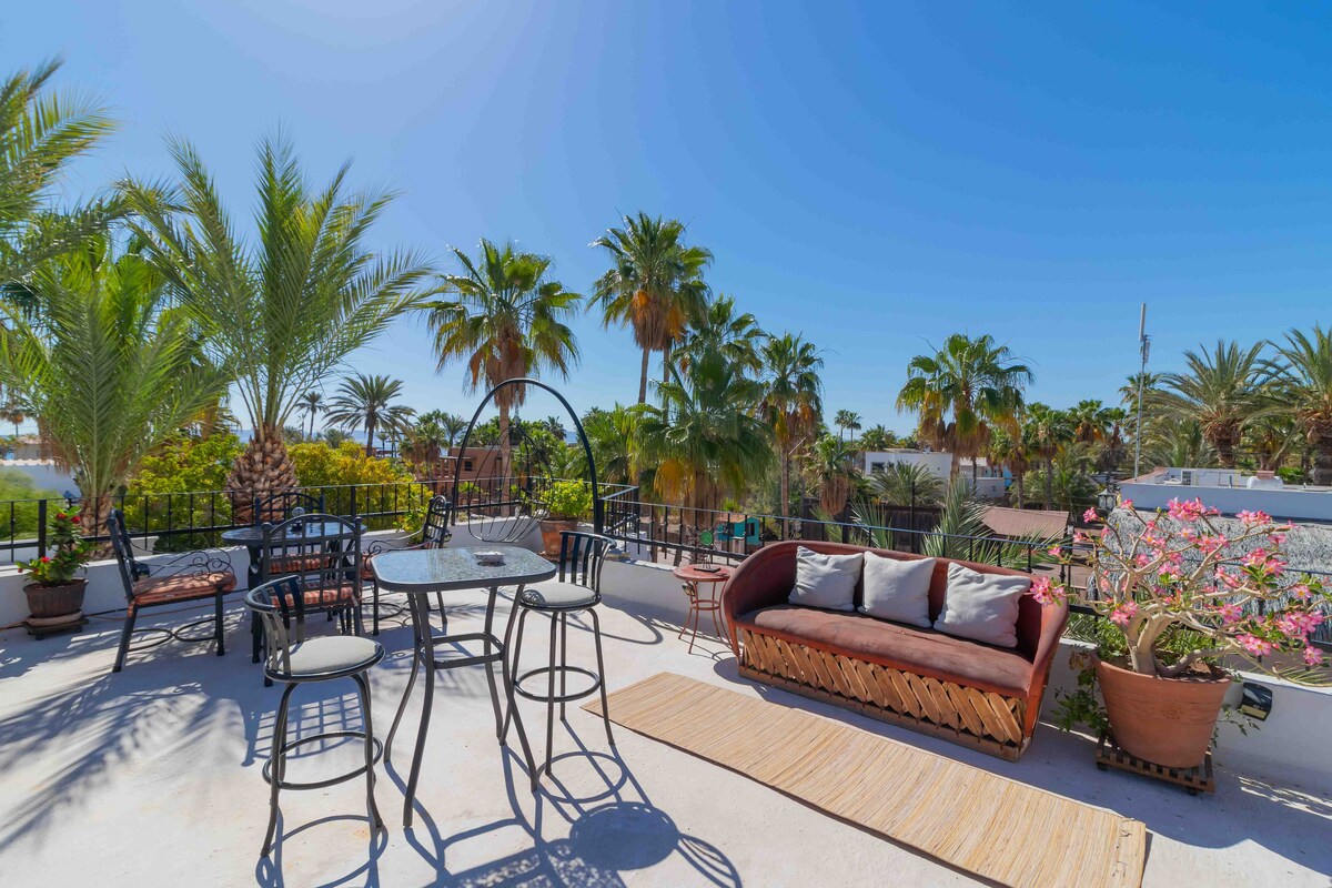 A spacious rooftop terrace is featured, adorned with lush palm trees and vibrant plants. Outdoor seating arrangements include a circular table paired with chairs and a cushioned lounge area, providing a relaxing space to enjoy views of the surrounding greenery.