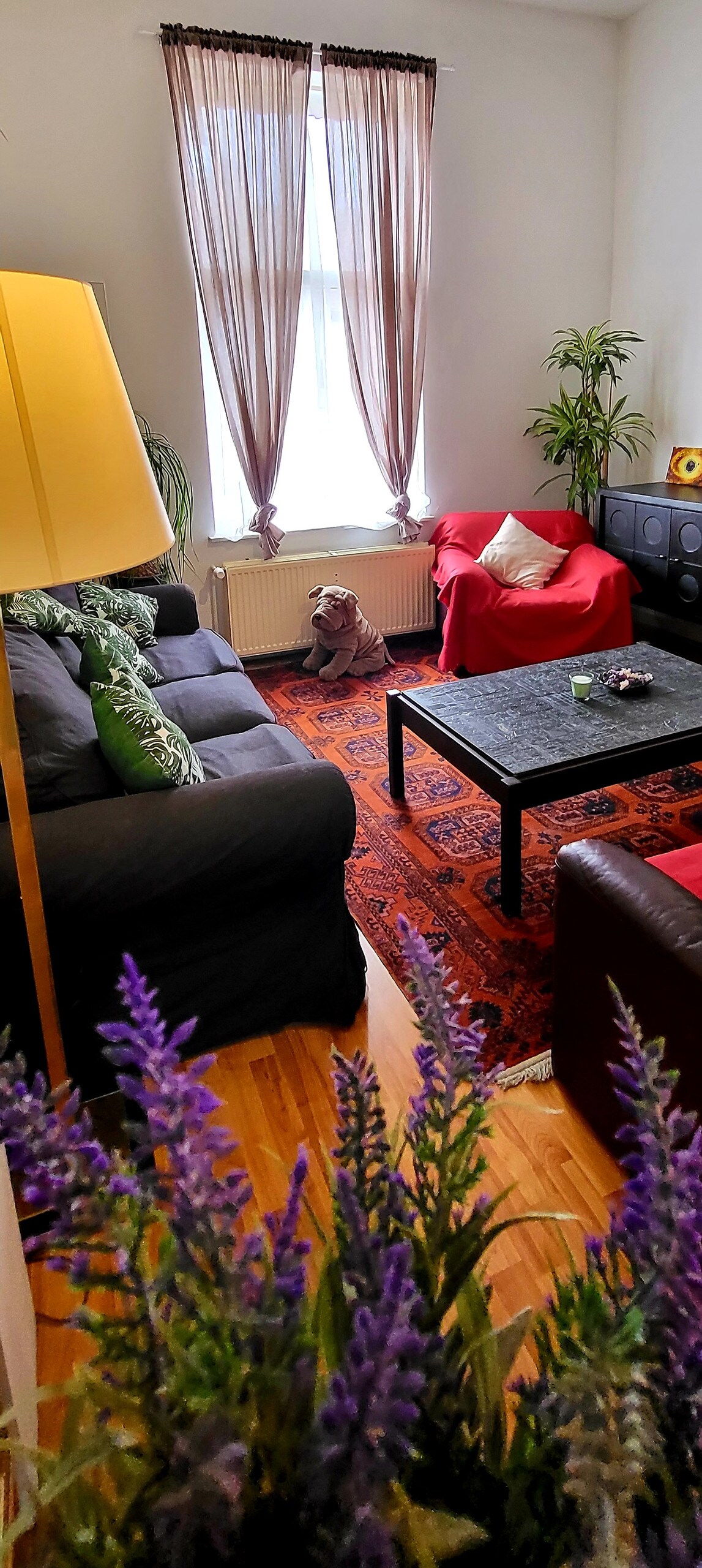 Top Airbnb: Bright and quiet studio near Nato in Schaerbeek Schaarbeek