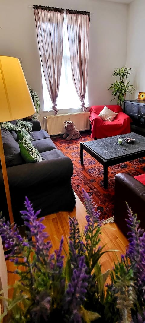 Top Airbnb: Bright and quiet studio near Nato in Schaerbeek Schaarbeek
